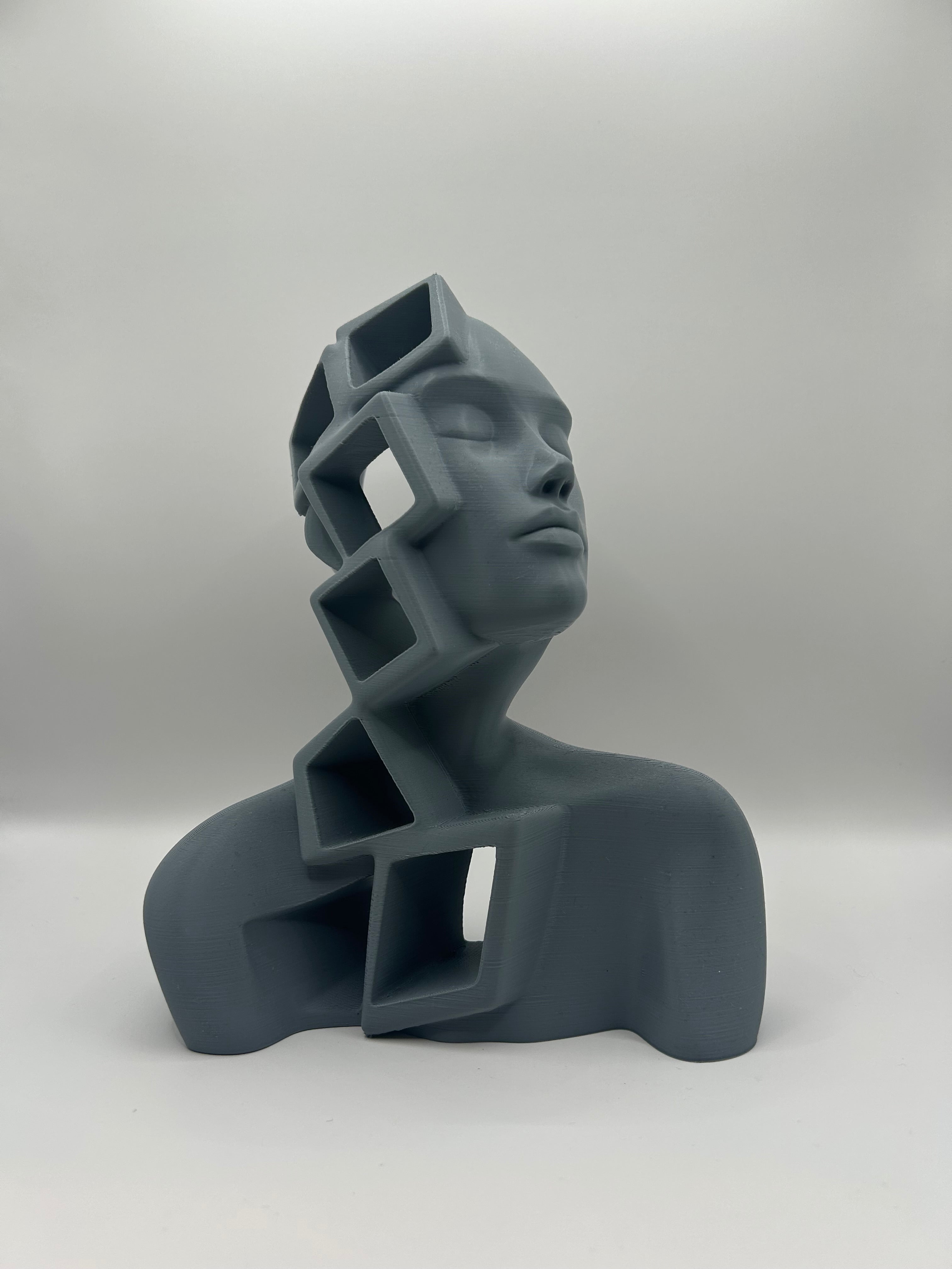 Abstract Face Sculpture