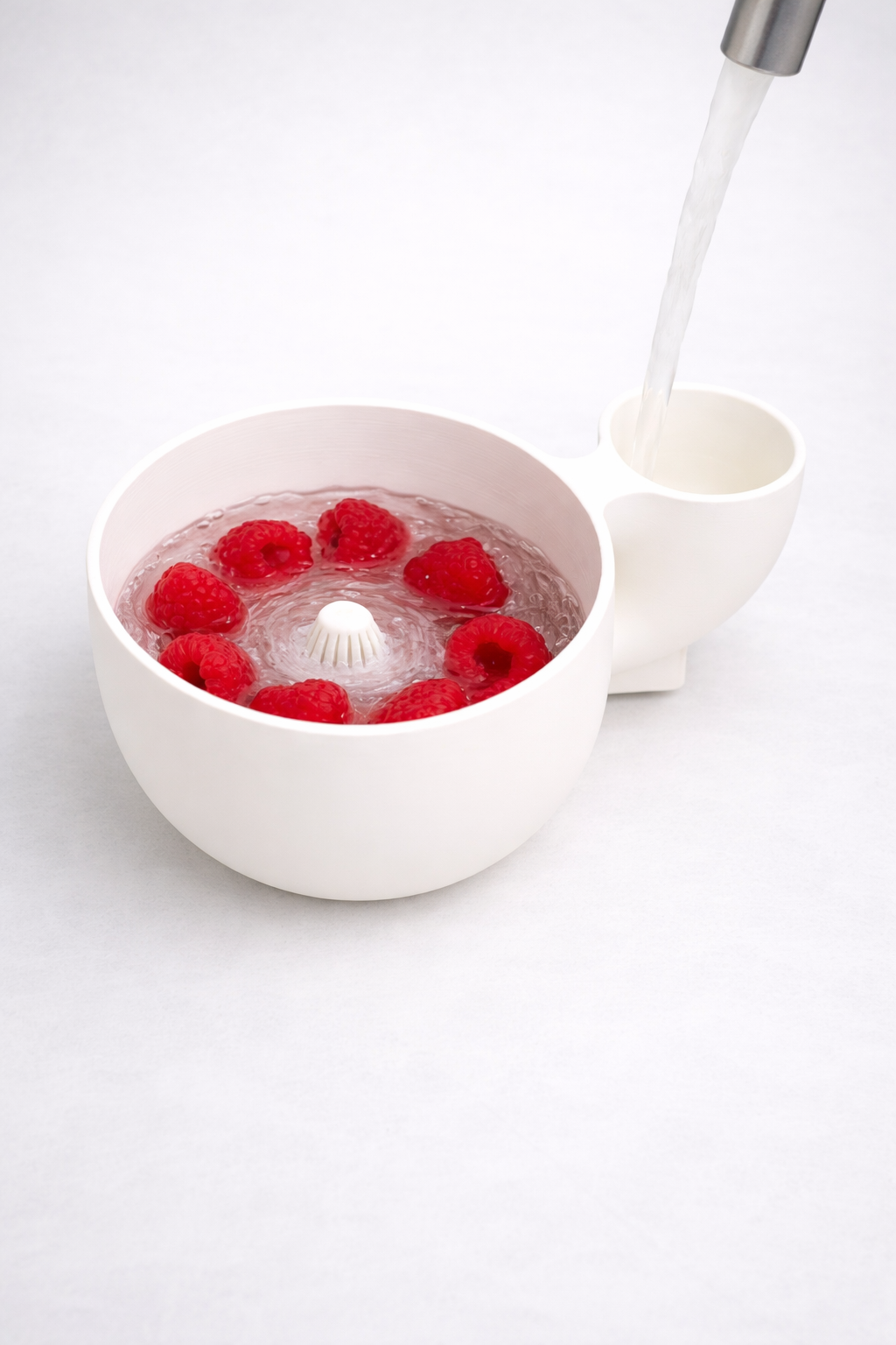 Fruitwasher