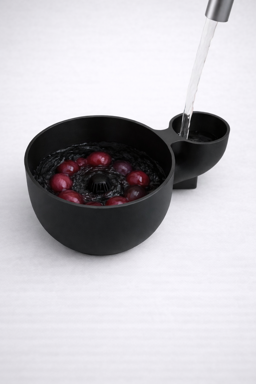 Fruitwasher