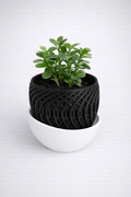 Plant Pot With Drainage Tray