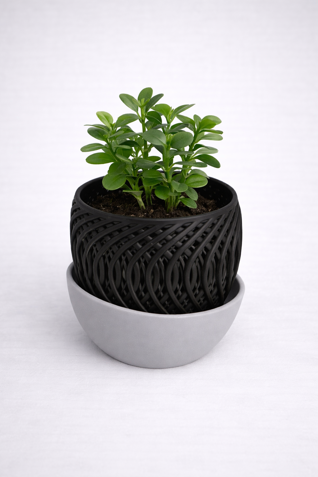 Plant Pot With Drainage Tray